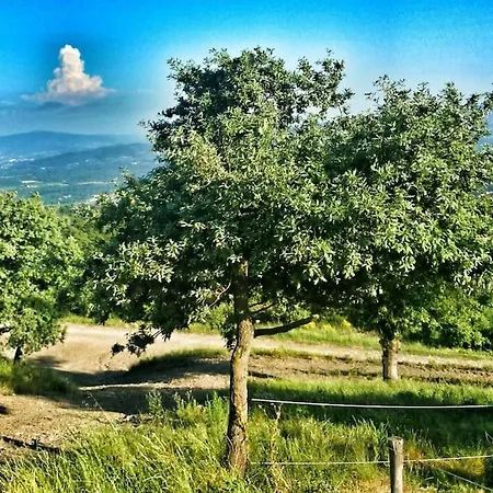Villino I Balzi Paterna